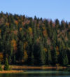 Le Lac Genin : le petit Canada à une heure de Lyon
