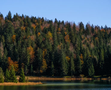 Le Lac Genin : le petit Canada à une heure de Lyon