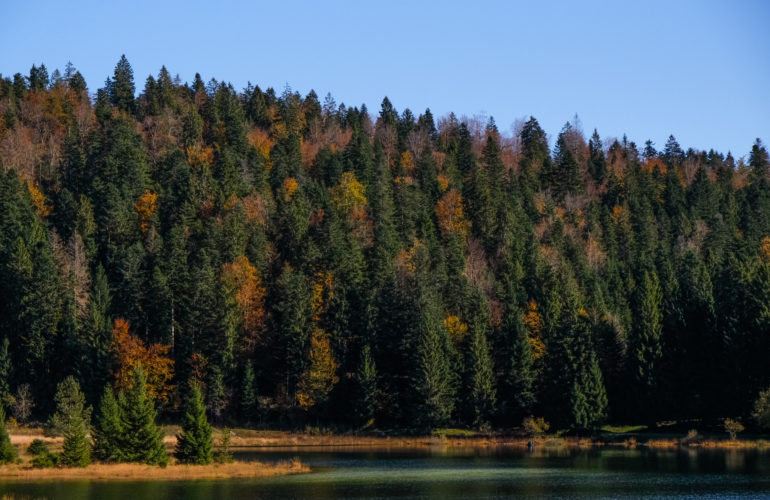 Le Lac Genin : le petit Canada à une heure de Lyon